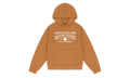 ADG Hoodie "Washed Brown" DT329