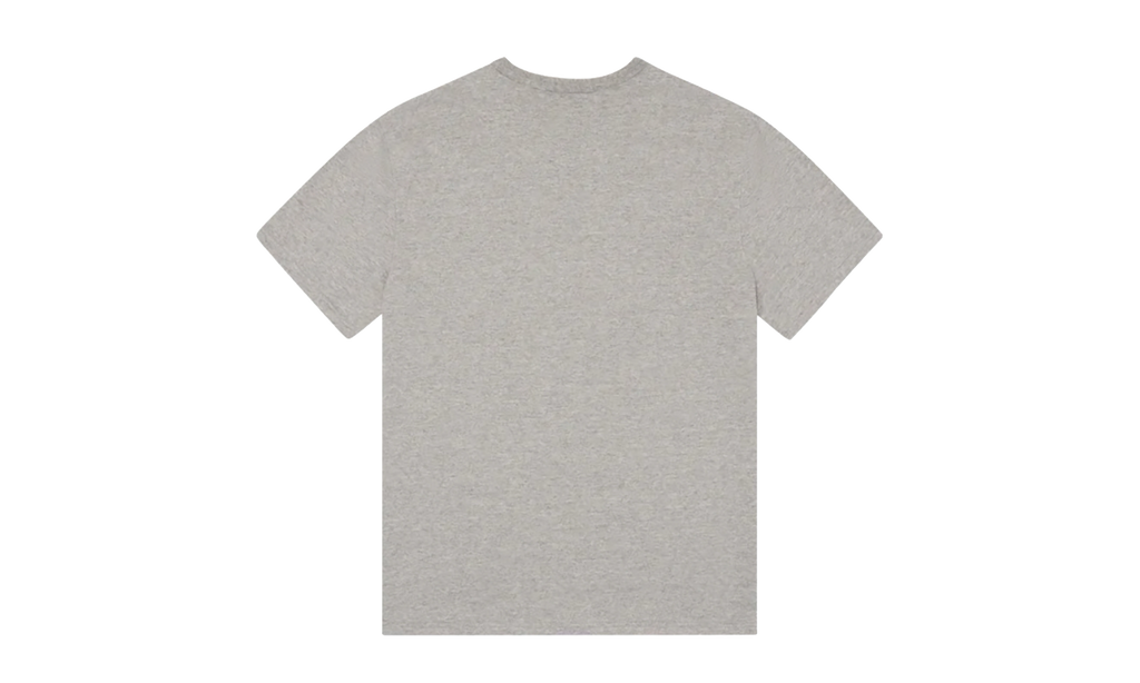 Mission Statement Tee "Grey" DT322