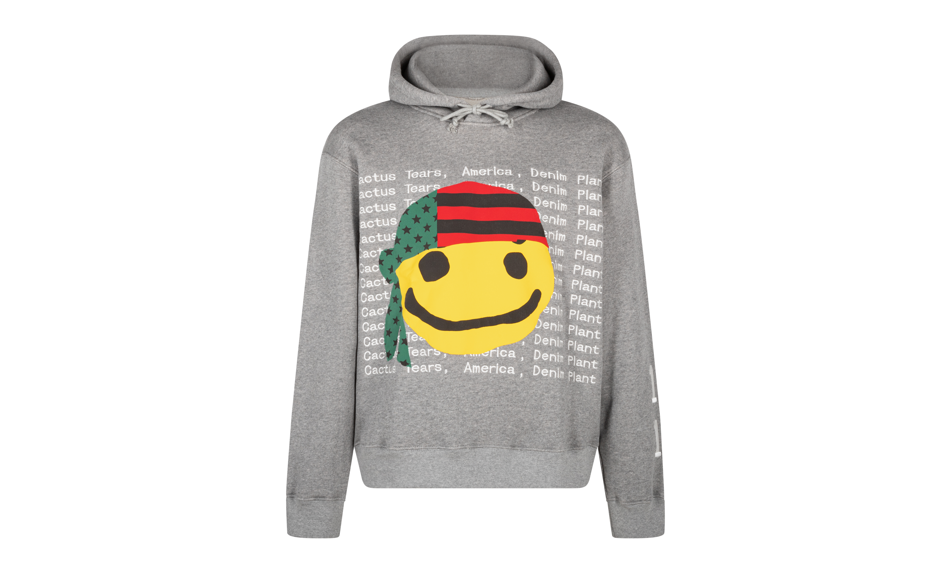 Cactus Tears Hoodie "Grey" DT041