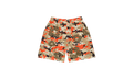 Camo Cotton Wreath Mesh Shorts "Brown" DT177