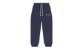 ADG Sweatpants "Purple" DT280